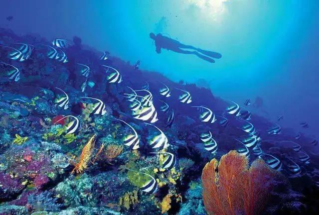 上海浦东发展银行长桥社区支行获批终止营业